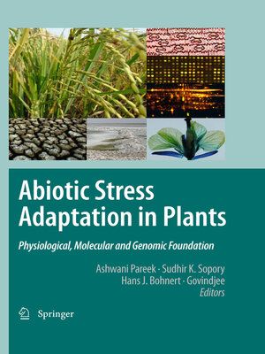 cover image of Abiotic Stress Adaptation in Plants